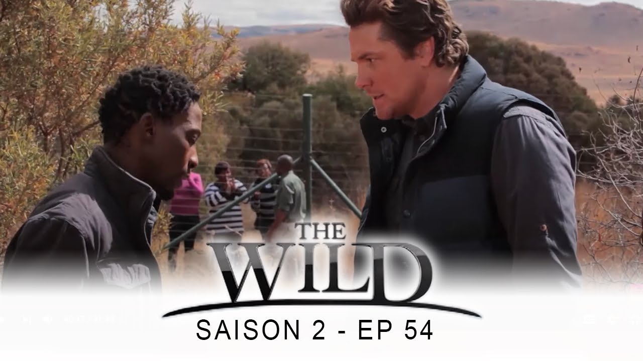 The Wild Saison 2 Streaming
