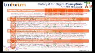 TM Forum ZOOM Project Webinar