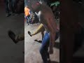 Guyanese dancing