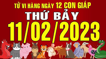 Tử vi Phương Đông, Thứ Bảy (11-02-2023) của 12 con giáp, chuẩn xác nhất.