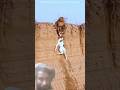 Trapped Baby Goat Can’t Climb Out… Monkey Rescues at the Last Moment! ❤️ #animalrescue
