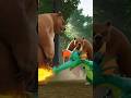 Dragon aur bhalu ki fight | Anime with Arbaz |. #hindihorrorstory