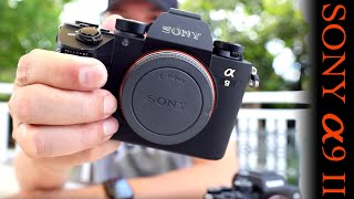 Sony a9 II: $4,500 Full-frame Mirrorless with 20 FPS