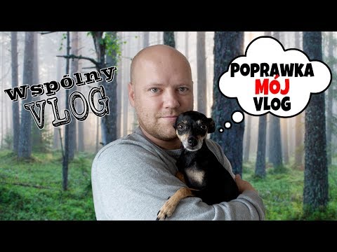 Wspólny VLOG? Jak nauczyć psa szukać grzybów