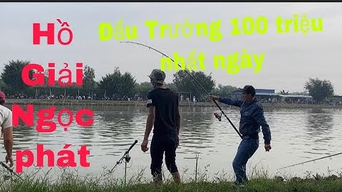 Fishing câu cá Tra Giải Hồ Ngọc phát ( cám T1 Đồng Hành)