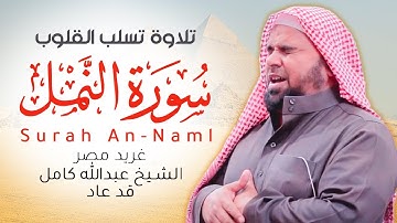 وأخيرا يعود غريد مصر الى وطنه فيطلق تلاوة تهز الجبال بل وتتصدع منها | سورة النمل عبدالله كامل