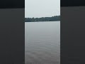 Rain sounds at the lake  #lake #nature