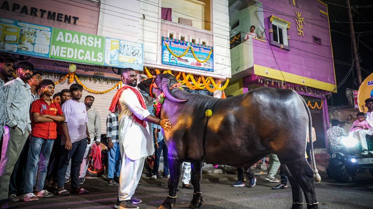 Panja Nagaraj Yadav Saidabad Sadar 2025