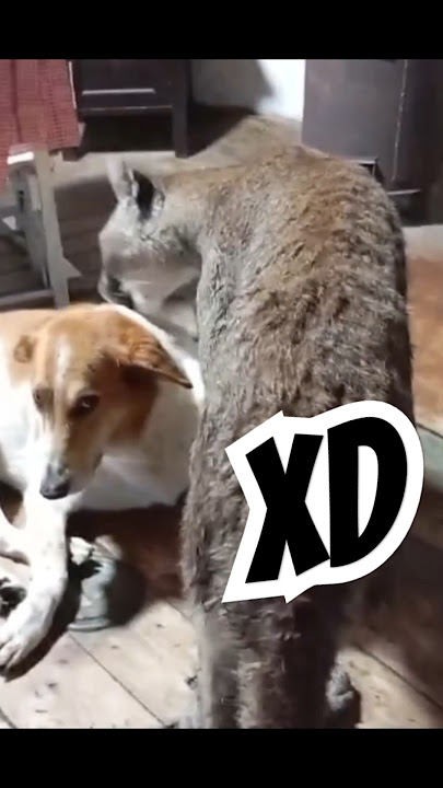 Download lagu estaba paralizado con mucho miedo y no me podia mover 💀