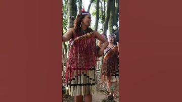 Discover Māori Culture – Step Inside an ANCIENT Village!