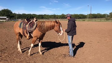 Teach a Horse to Sidepass up to The Mounting Block Video 1