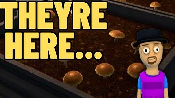 Shrooms Are Close to Coming in Schedule 1… Here’s What We Know