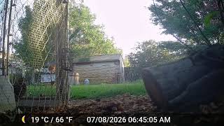DSCF0013