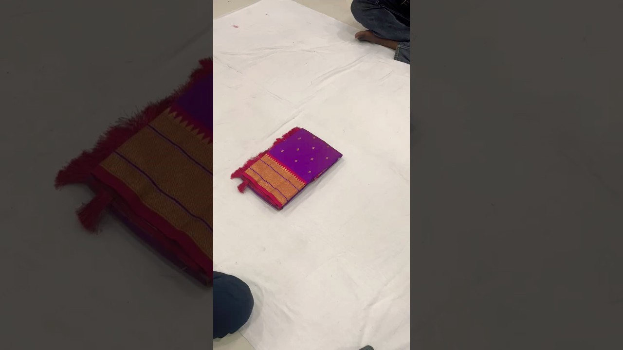 Paithani Saree with Swan Meenakari Pallu