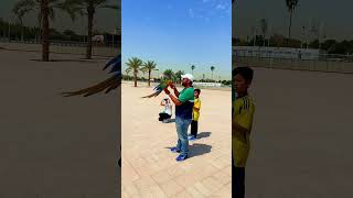 جمال الطيران الحر في قطر بغبغاء المكاو #birds #live #love #like #funny #funnyvideo #parrot #macaw