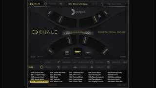 EXHALE By Output - Walkthrough