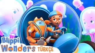 Okyanus 🌊 | Blippi Türkçe - Çocuklar için Eğitici Videolar