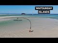 HOW TO GET WHITEHAVEN BEACH TO YOURSELF!! | Camping in the Whitsundays