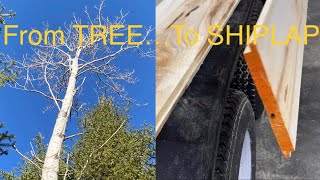 From TREE To SHIPLAP (How To Make Your Own SHIPLAP)-Popple People-Episode 20
