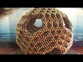 Beginning of video