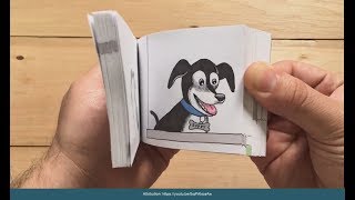 Your eyes are lying to you! CCNA Collaboration CIVND1 Exam Course