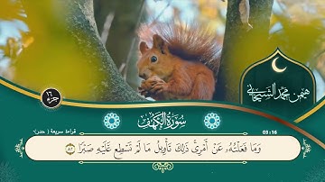 018  سورة الكهف  قراءة سريعة  هيمن محمد الشيخاني