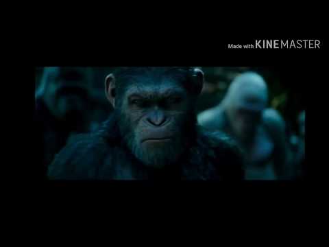 war-for-the-planet-of-the-apes---official-trailers