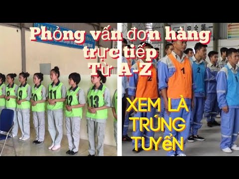 Tổng hợp 14+ Công ty Xuất khẩu Lao động tại Quảng Bình Được Cấp Phép [Năm 2025]