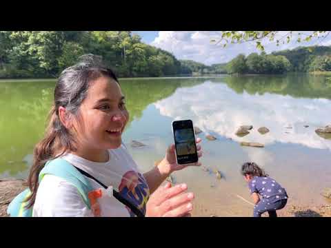 Video: Menjelajahi Danau Needwood di Taman Regional Rock Creek