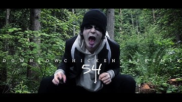 The Panda. Project - Episode 1 - DOWNLOWCHICKENCAPREMIX54 (OFFICIAL MUSIC VIDEO)