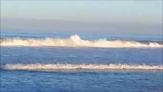 Video Surf Report