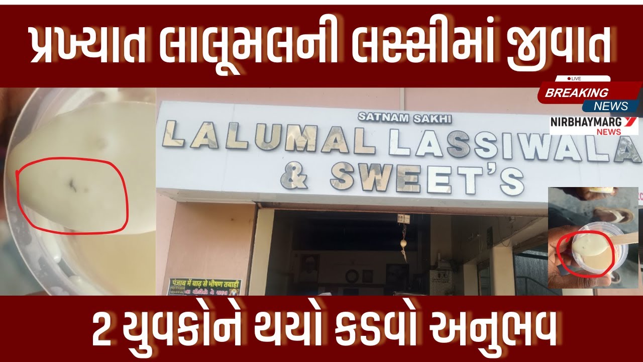 Humdum Lassi લાલુમલની લચ્છીમાં જીવાત નીકળી || lassi || lalumal lassi || #sidhpur ...