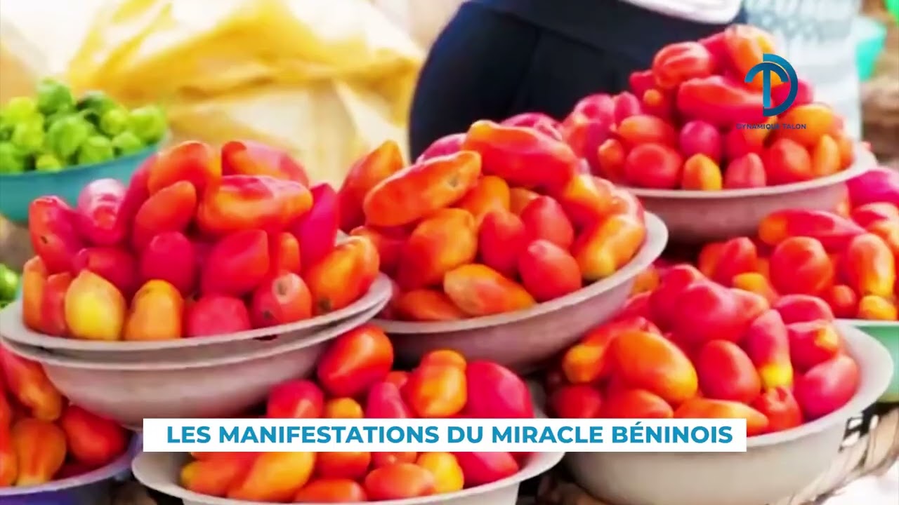 🔵 𝗟𝗲𝘀 𝗺𝗮𝗻𝗶𝗳𝗲𝘀𝘁𝗮𝘁𝗶𝗼𝗻𝘀 𝗱𝘂 𝗺𝗶𝗿𝗮𝗰𝗹𝗲 𝗯𝗲́𝗻𝗶𝗻𝗼𝗶𝘀.