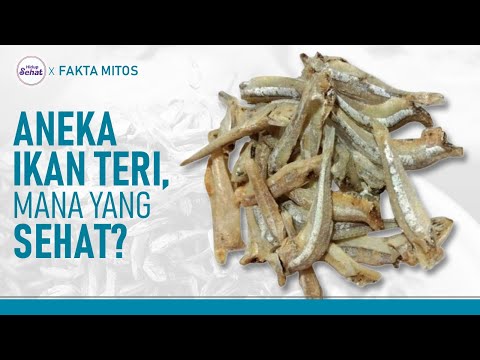 Apakah Ikan Teri Termasuk Daging