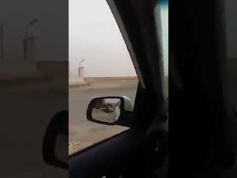 تدخل قوات مكافحة الشغب في جامعة