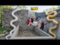 Brave Soldiers Used High-Tech Snake Detectors To Locate The Giant Python's Nest.
