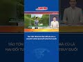Táo tợn trộm xe gần miếu bà Cù Là, hai đối tượng bị người dân truy đuổi  #shorts | Mekong