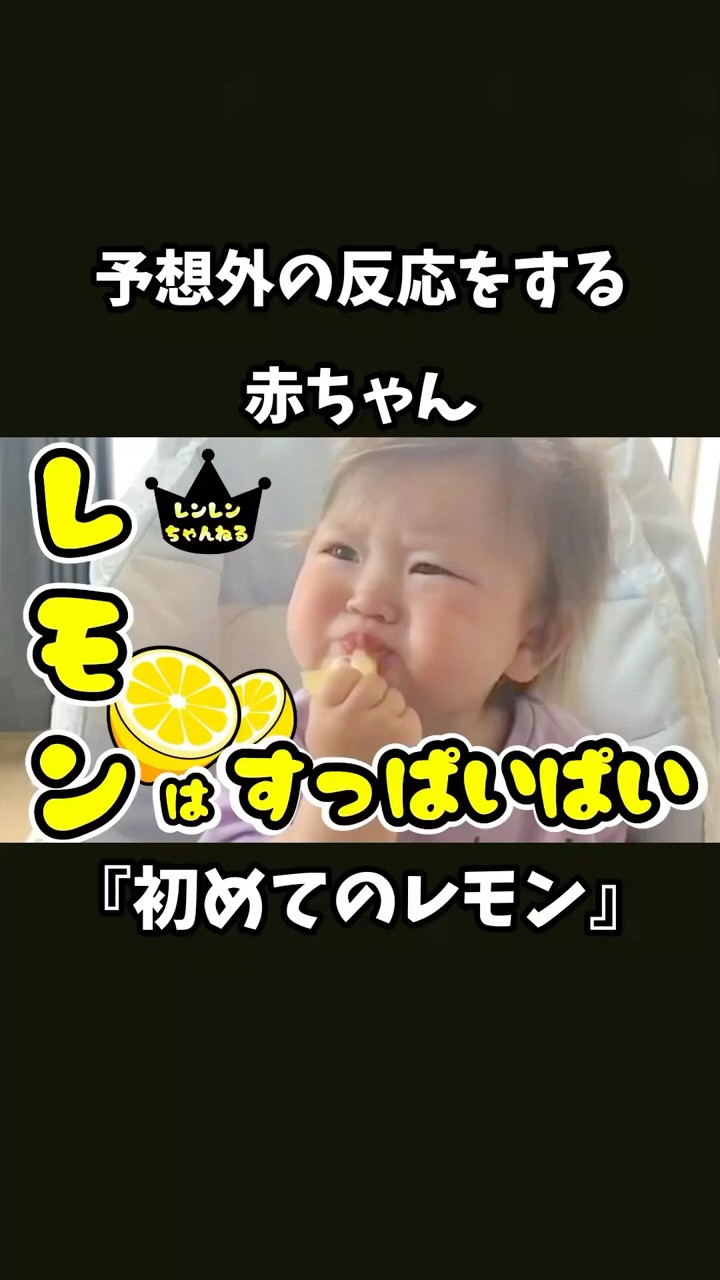 波*様 空想アパートメント　レモンの赤ちゃん いつもよりふわふわなレモンとレモンの赤ちゃん