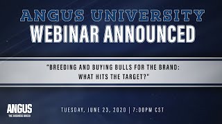 WEBINAR ANNOUNCED: Breeding for the Brand - Bull Selection to Target the Certified Angus Beef® brand