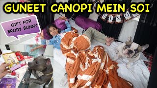 GUNEET ka New Ghar 🤣 Canopi and Gift for Brody Bunny 🐶