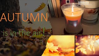 All the Fall Scents! (Cozy Candle Haul)