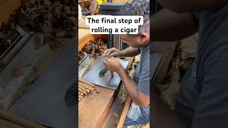 Epic Moment: Master Cigar Roller Completes a Perfect Cigar!