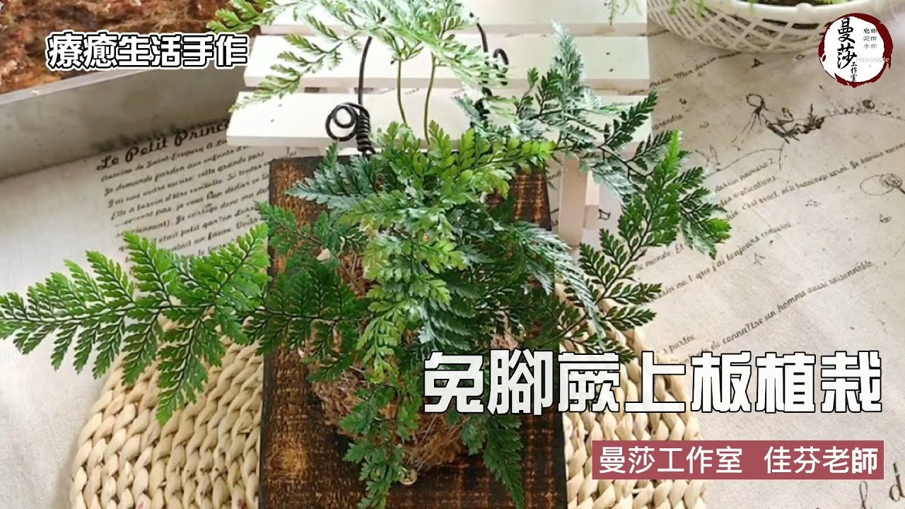 雲慢手作｜兔腳蕨上板植栽。苔球木板蕨類植物種植。疫情期間綠色照顧手作線上課程分享。曼莎工作室
