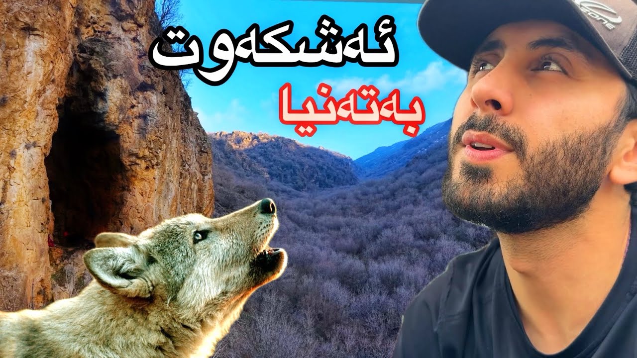 دارستانێکی پڕ ئاژەڵی کێوی