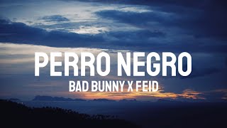 Bad Bunny x Feid - PERRO NEGRO (Letra/Lyrics)