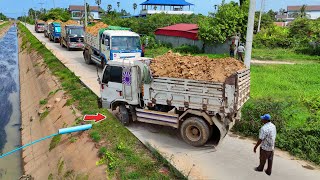Download Lagu Fresh rollout New Landfill Project! Using Dozer Pushing WITH Dump Truck Unloading, Mix VDO MP3 Download Lagu Fresh rollout New Landfill Project! Using Dozer Pushing WITH Dump Truck Unloading, Mix VDO MP3