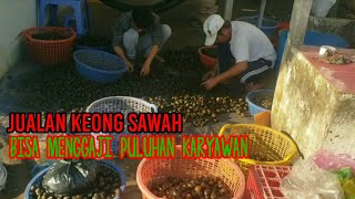 Jualan Keong Sawah Bisa Gajih Puluhan Karyawan