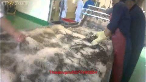 Dây chuyền thái rửa dược liệu, máy rửa dược liệu