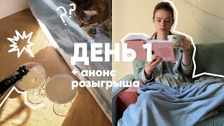 картинка: ✨❤️ МАРАФОН ОСТИН И БРОНТЕ | день 1 — отмечаем 5000 ПОДПИСЧИКОВ на канале 🥂