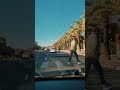 يا خسارة وردة الجزائرية